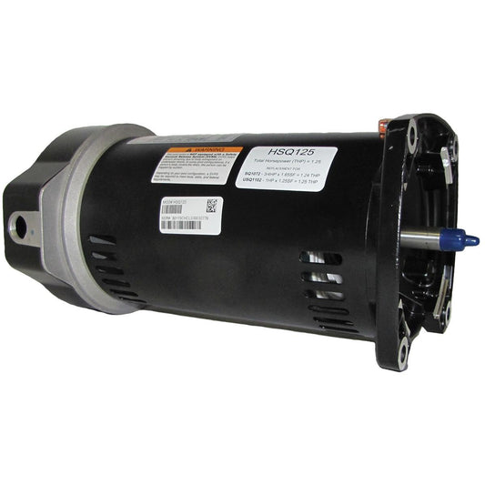 Century Square Flange Pool and Spa Pump Motor 1.25HP 115/230V